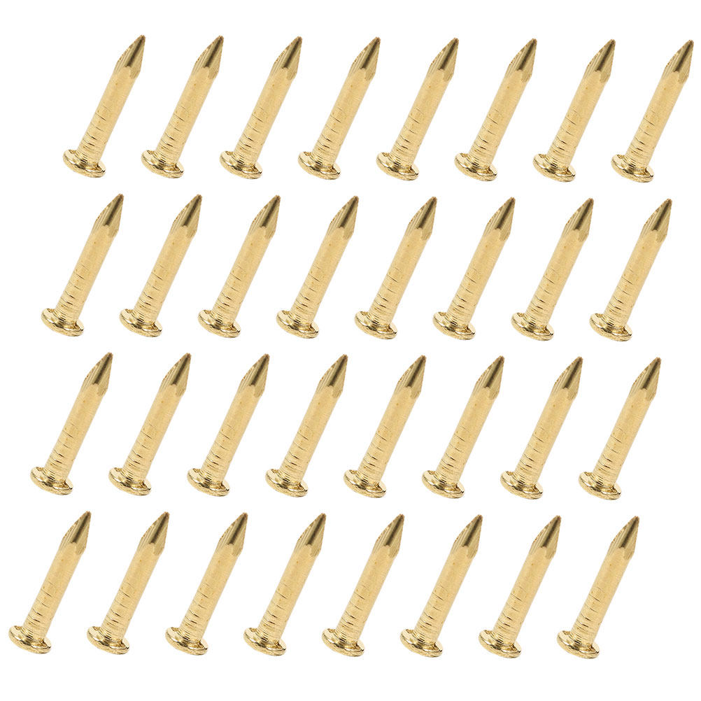 100Pcs Copper Picture Nails Ro - Furniture Hardware Photos recension och pris