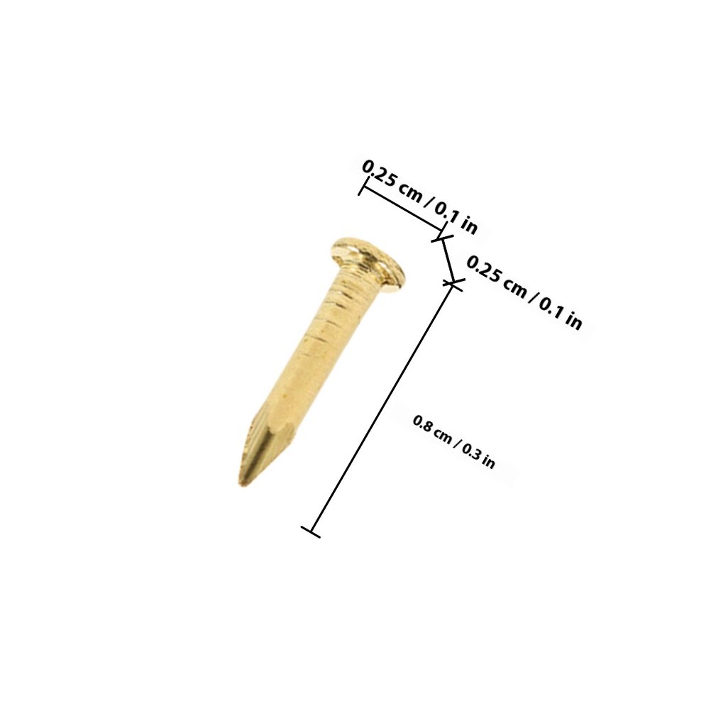 100Pcs Copper Picture Nails Ro - Furniture Hardware Photos recension och pris